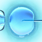 Pecuaristas adotam cursos de inseminação artificial para tornar seu negócio mais rentável