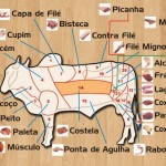 Confira os tipos mais comuns de cortes de carne bovina, onde são retirados do boi e opções de prato