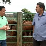 Ciência Sem Limites – Eficiência alimentar em bovinos – [vídeo]