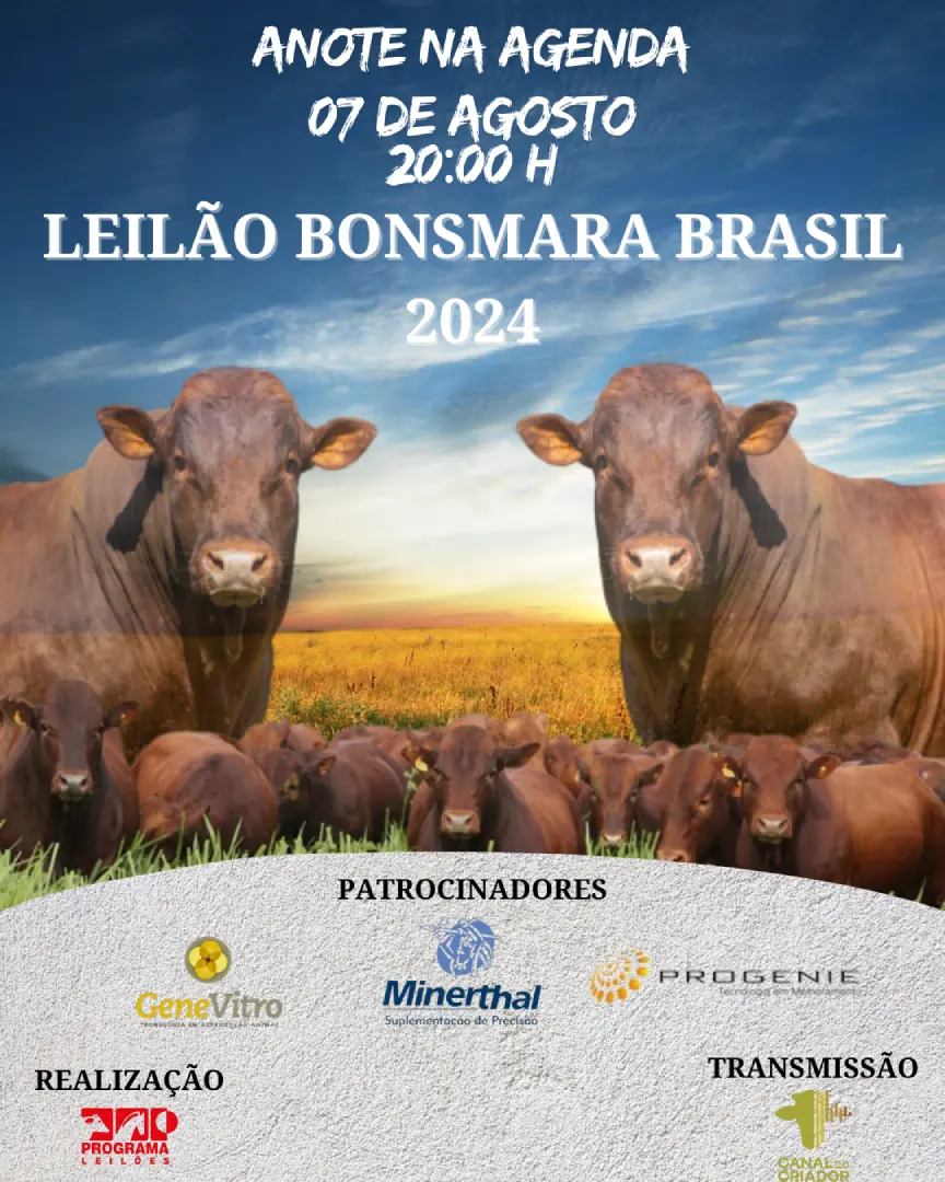 Chamada Bonsmara Brasil 2024